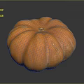 Fresh Healthy Ripe Orange Pumpkin Single Whole Vegetable on Dark Background