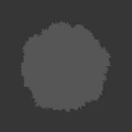 Lush Green Round Bush with Dense Foliage Isolated on Dark Background