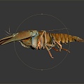 Modern Lobster Big Lobster Crystal Lobster 3d model