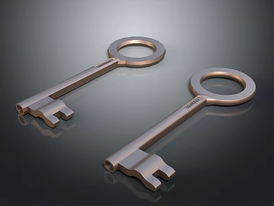 Metallic Keys With Circular Keyrings And Shiny Surface On Dark Background 3d model