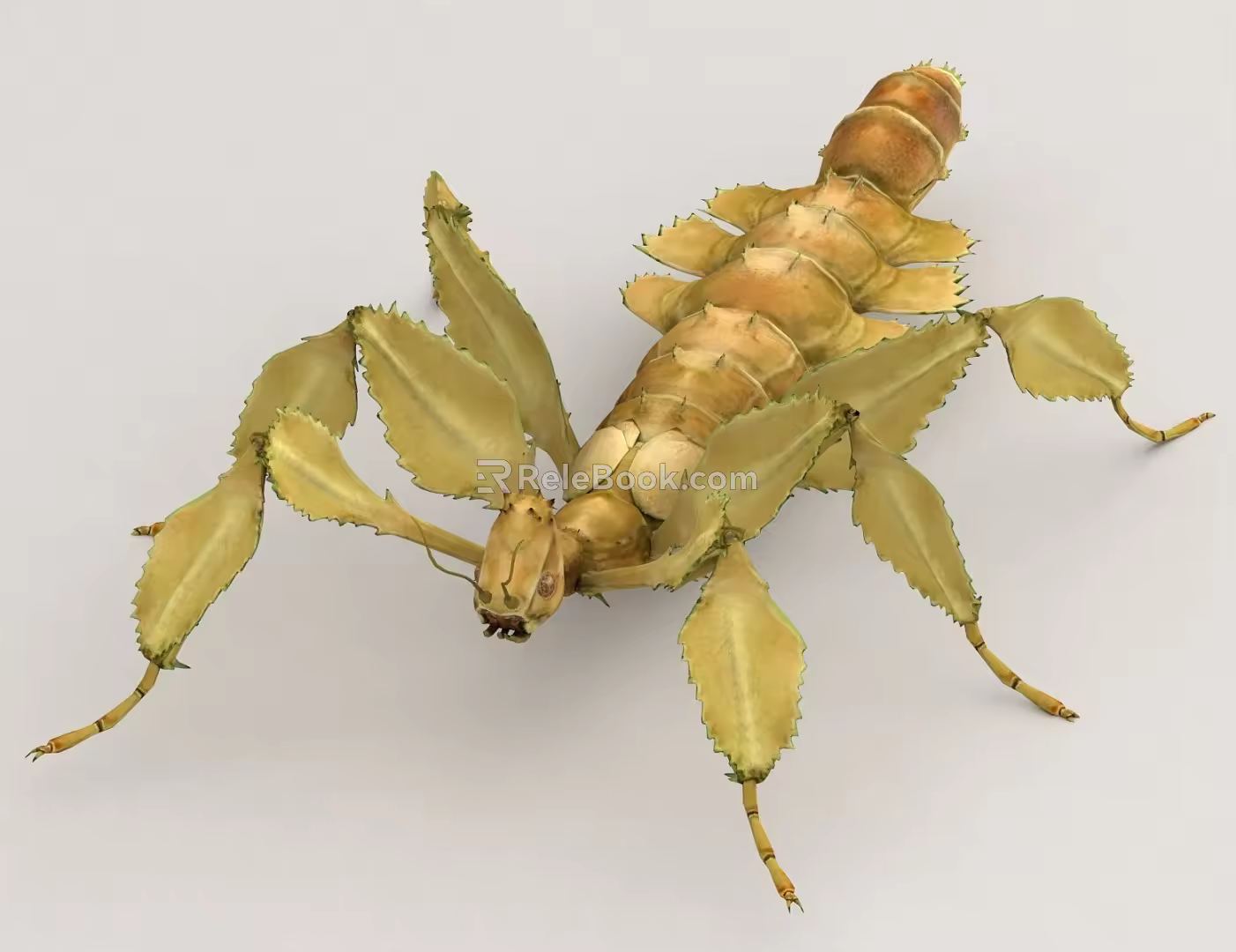 Insects Bugs Maple Bugs 3d model