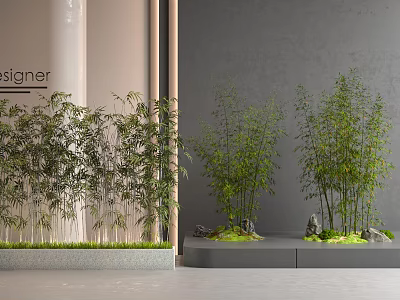Bamboo Plants In Modern Indoor Space With Rocks And Moss 3d model