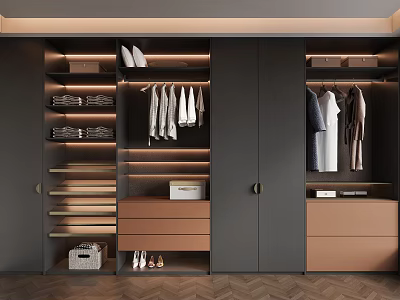 Modern Walk in Closet Design With Organized Storage And Ambient Lighting 3d model