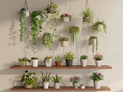 Various Hanging and Shelf Potted Plants on Wooden Shelves with Green Leaves and Flowering Pots 3d model