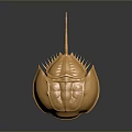Detailed Golden Marine Horseshoe Crab With Shiny Carapace And Pointed Telson