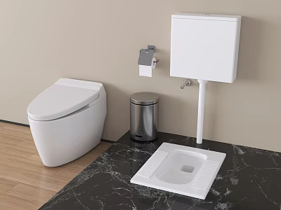 Modern Toilet Design Featuring Sitting Squat Models Trash Can Paper Holder Black Marble Countertop 3d model