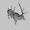 Realistic Deer With Large Antlers Standing On White Background 3d model