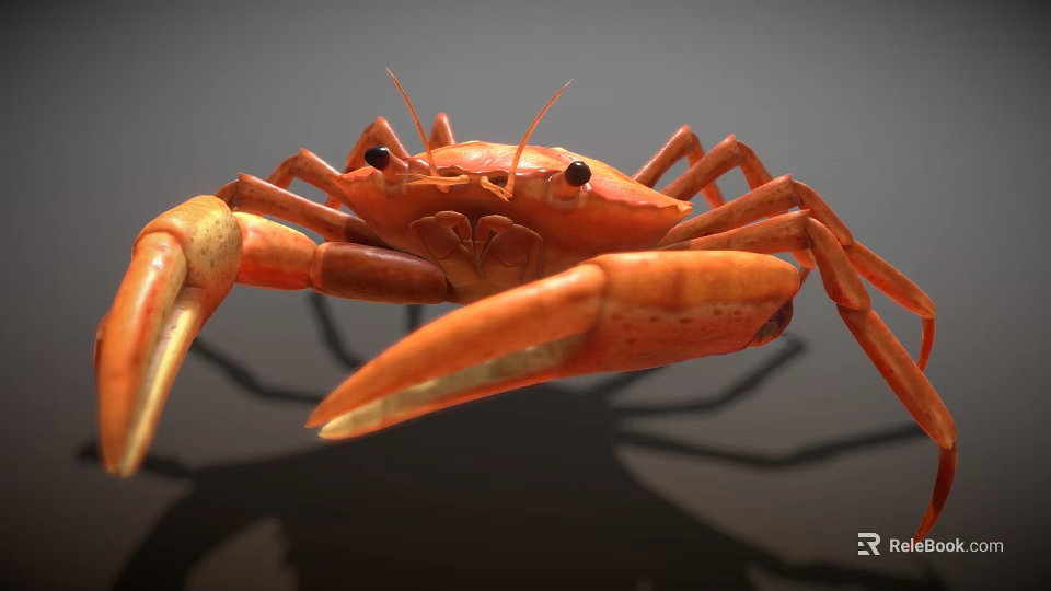 Realistic Orange Crab With Large Claws And Extended Legs On Dark Surface 3d model 