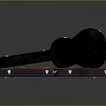 Elegant Acoustic Guitar In Open Case With Floral Pattern And Shiny Reflection