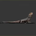 Bearded Dragon Standing On Red Brick Surface With Gray Grout Lines 3d model
