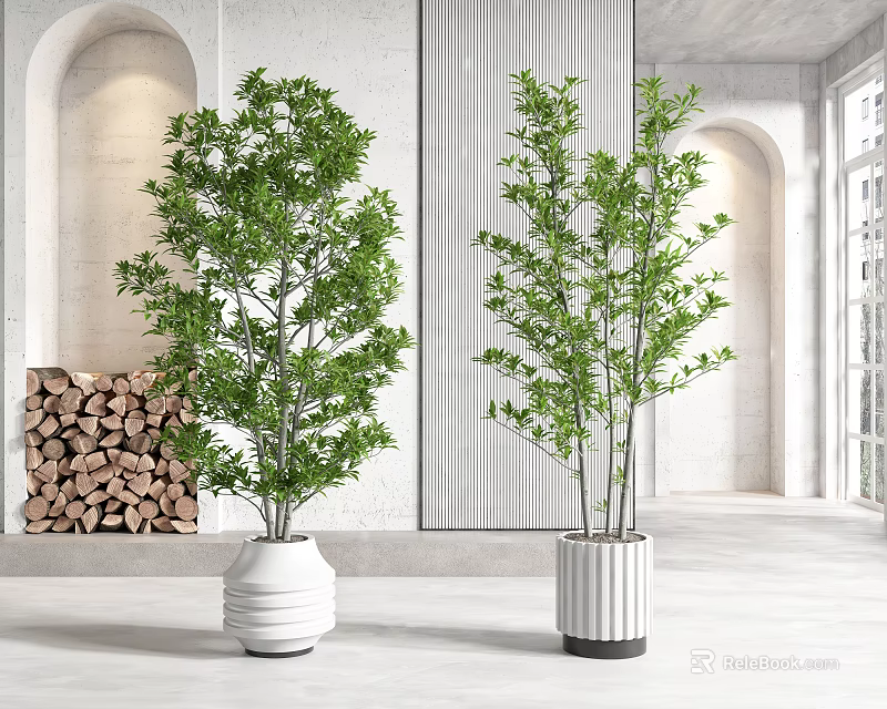Indoor Bonsai Potted Plants in White Decorative Pots for Modern Home Interior 3d model 