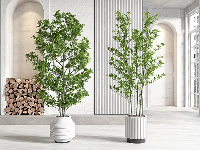 Indoor Bonsai Potted Plants in White Decorative Pots for Modern Home Interior 3d model