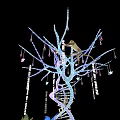 Decorative DNA Structure With Tree Branches Hanging Elements White Base Water And Plants