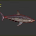 Realistic Shark Model With Vibrant Purple And Blue Coloration And Shiny Surface