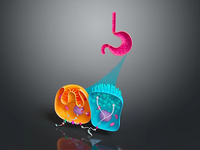Colorful 3D Illustration of Brain Neurons with Organelles and Cellular Structures 3d model