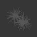 Green Shrubs with Long Leaves and White Small Flowers on Black Background