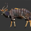 Nyala Antelope With Purple Body White Stripes Orange Legs And Curved Horns