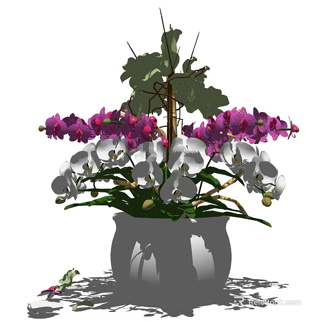 Bonsai Potted Plant With Purple And White Orchids And Green Leaves 3d model 