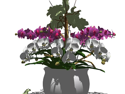 Bonsai Potted Plant With Purple And White Orchids And Green Leaves 3d model