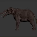 Prehistoric Mammoth With Long Tusks And Brown Fur Standing On Gray Background