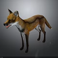 Standing Red Fox with Orange and White Fur 3D Rendered Isolated on Gray Background