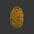 Orange Kiwano Fruit With Spiky Exterior And Black Protrusions On Gray Background With Reflection