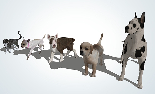 Modern Dog Pet 3d model