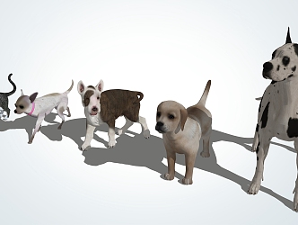 Modern Dog Pet 3d model