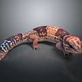 Colorful Gecko With Brown Orange And White Patterns On Gray Background