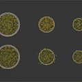 Yellow Flowers In Multiple Gray Cylindrical Planters Arranged On Dark Background