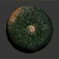 Green Pumpkin with Textured Surface and Brown Stem Fresh Organic Healthy Food