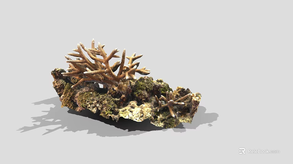 Natural Coral Reef Decor With Rocky Base And Mossy Surface Branches 3d model 