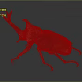 Rhinoceros Beetle With Large Horn Red Shiny Body On Gray Background And Long Legs
