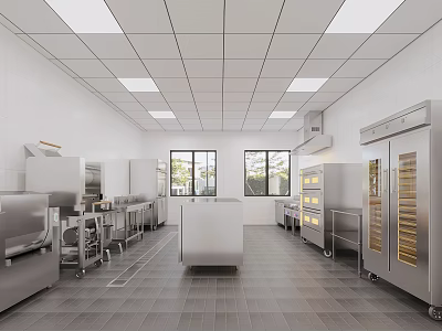 Commercial Kitchen With Stainless Steel Equipment White Walls Ceiling Lights Windows And Central Workbench 3d model