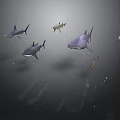 Sharks Swimming In Dark Underwater Environment With Light Spots And Particles