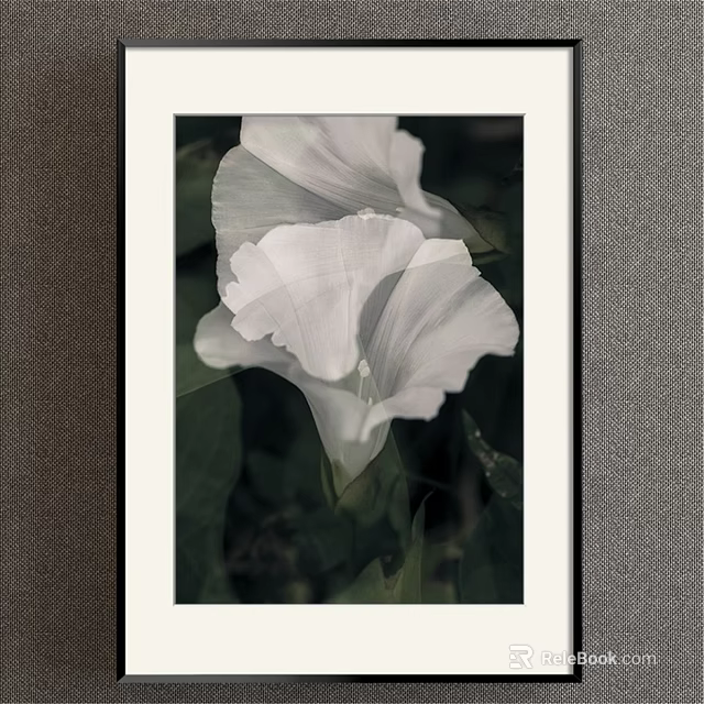 White Morning Glory Botanical Painting With Green Leaves In White Frame And Dark Background 3d model 