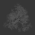 Leafless Tree with White Trunk Against Black Background and Small Human Silhouette 3d model