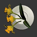 Yellow Daffodils With Green Leaves Arranged In White Modern Vase Decoration