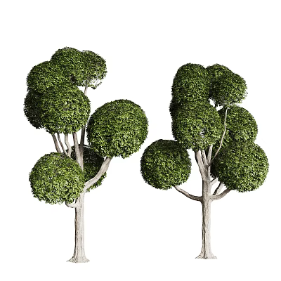 Decorative Topiary Trees With Spherical Green Foliage For Garden Landscape Design 3d model