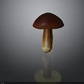 Fresh Edible Mushroom with Vibrant Red Cap and Brown Stem