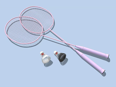 Pink Handle Badminton Rackets With White And Black Shuttlecocks Sports Equipment 3d model
