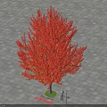 Beautiful Shape Arbor With Red Leaves On Paved Ground And Human Figure For Scale