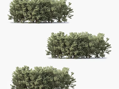 Green Shrubs In Various Shapes For Garden Landscaping And Decoration 3d model