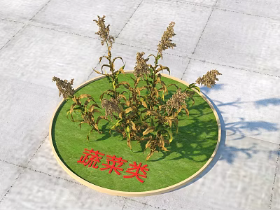 Withered Vegetable Type Shrubs Placed On Circular Green Mat With Red Sign 3d model