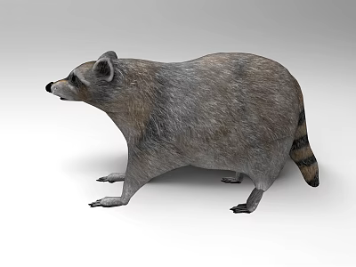 Gray Scaled Reptile Standing Pose With Striped Tail And Realistic Texture Details 3d model