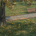 Tranquil Autumn Garden Scenery With Tree Bench Fallen Leaves And Paved Path On Grass