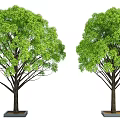 Two Vibrant Lush Green Trees With Dark Trunks And Square Bases