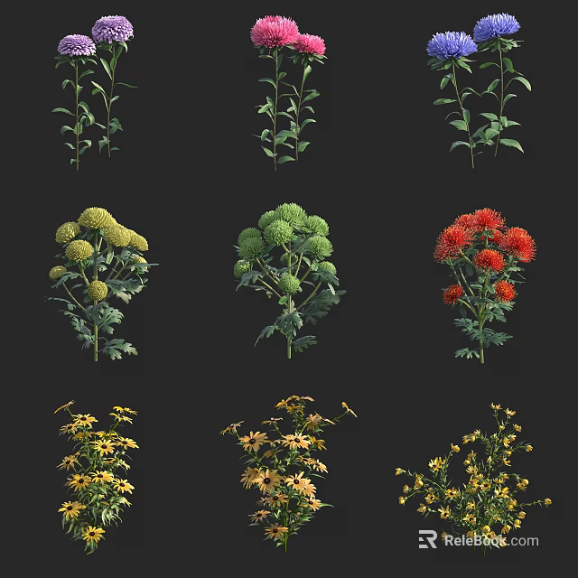 Various Colorful Flowers With Green Stems In Diverse Botanical Plant 3d model 