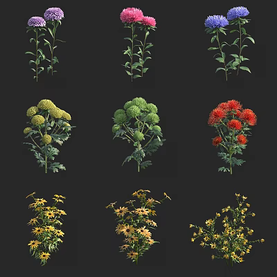 Various Colorful Flowers With Green Stems In Diverse Botanical Plant 3d model