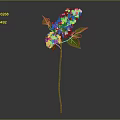 Purple Lilac Plant with Green Leaves and Slender Stem Against Gray Background